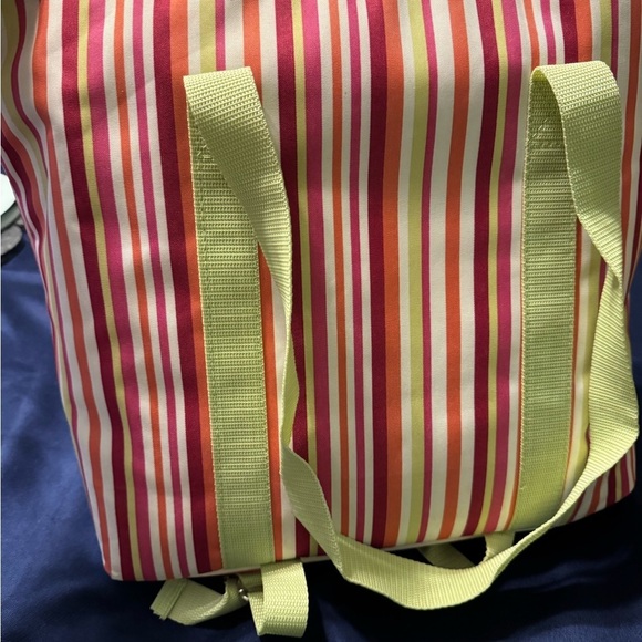 NWOT Insulated Picnic Tote Bag with a blanket and dinnerware. - Picture 11 of 11
